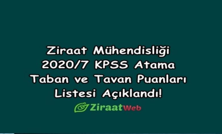 atama1210x642 1024x543 1 1