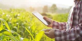 Tarımsal Yayım ve İletişim Ders Notları
