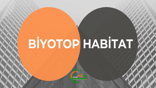 Biyotop ve Habitat Nedir? 16 Biyotop ve Habitat Nedir 1