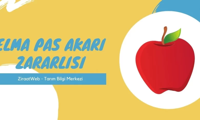 Elma Pas Akari Zararlisi